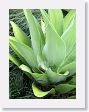 Xandari - 22 * Xandari landscaping * Xandari landscaping